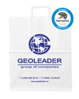 Крафт пакет с логотипом geoleader, Москва, 24*28 см, выбеленный, плоские ручки