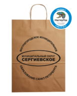 Пакет крафт, бурый с логотипом муниципального округа Сергиевское, Спб, 29*40 см, крученые ручки