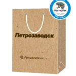 Пакет подарочный, бумажный, 30*40, 200 гр., с люверсами, ручка шнур, с логотипом Петрозаводск, Петрозаводск